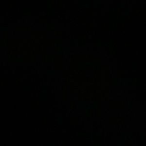 Meet your Posher, Dorie